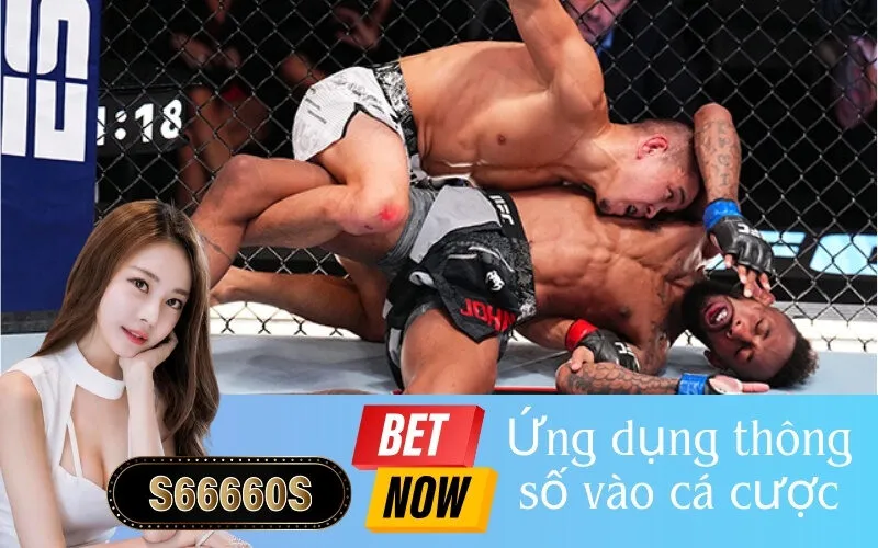 Ứng dụng thông số vào cá cược